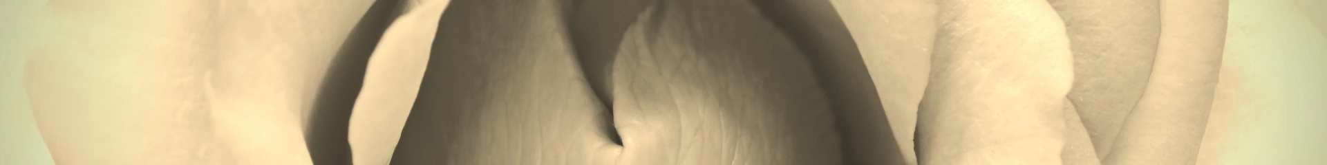 shutterstock_1613734525_sep_1920_240.webp